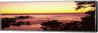 Sea at sunset, Point Lobos State Reserve, Carmel, Monterey County, California, USA Fine Art Print