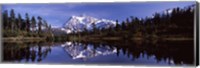 Mt Shuksan Reflection at Picture Lake, North Cascades National Park Fine Art Print