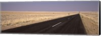 Road passing through a landscape, Sperrgebiet, Namib Desert, Namibia Fine Art Print