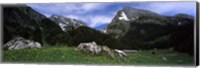 Mountains in a forest, Mt Santis, Mt Altmann, Appenzell Alps, St Gallen Canton, Switzerland Fine Art Print