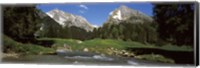 Stream flowing through a forest, Mt Santis, Mt Altmann, Appenzell Alps, St Gallen Canton, Switzerland Fine Art Print
