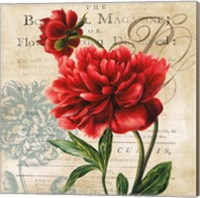 The Botanist Magazine Fine Art Print