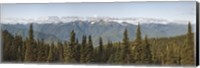 Mountain range, Olympic Mountains, Hurricane Ridge, Olympic National Park, Washington State, USA Fine Art Print