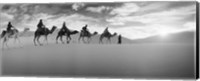 Tourists riding camels through the Sahara Desert landscape led by a Berber man, Morocco (black and white) Fine Art Print