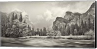 River flowing through a forest, Merced River, Yosemite Valley, Yosemite National Park, California, USA Fine Art Print