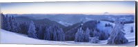 Snow covered trees on a hill, Feldberg Mountain, Black Forest, Baden-Wurttemberg, Germany Fine Art Print