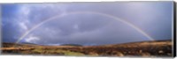 Rainbow above Fernworthy Forest, Dartmoor, Devon, England Fine Art Print