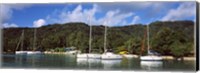 Yachts anchored at the harbor on La Digue Island, Seychelles Fine Art Print
