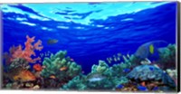 Underwater view of Pallid triggerfish, Oriental Sweetlips and Longfin bannerfish with Yellowbar Angelfish Fine Art Print