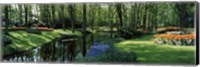 Flower beds and trees in Keukenhof Gardens, Lisse, Netherlands Fine Art Print