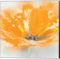 Wild Orange Sherbet I Fine Art Print