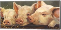 Pig Heaven Fine Art Print