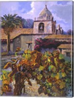 Vineyard at San Miguel Fine Art Print