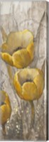 Ochre Tulips I Fine Art Print