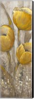 Ochre Tulips II Fine Art Print