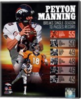 Peyton Manning Single Season TD Record Fine Art Print