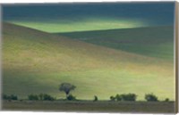 Panoramic view of hill, Ngorongoro Crater, Arusha Region, Tanzania Fine Art Print