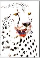 Close-up of a Cheetah Fine Art Print