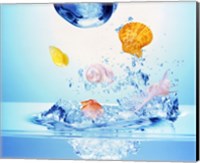 Multicolored seashells and water bubbles in churning water Fine Art Print