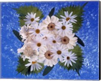 Close up of white daisy bouquet with mottled blue background Fine Art Print