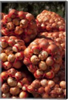 Close-up of sack of onions, Seclantas, Calchaqui Valleys, Salta Province, Argentina Fine Art Print