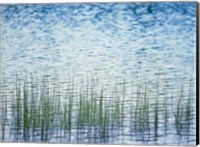 Grass in water Fine Art Print