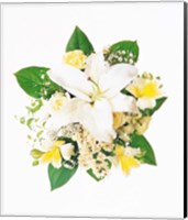 Arranged Flowers and Leaves on White Background Fine Art Print