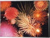 Fireworks display Fine Art Print