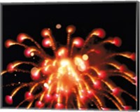 Close up of Ignited Fireworks Fine Art Print