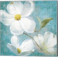 Indiness Blossom Square Vintage IV Fine Art Print