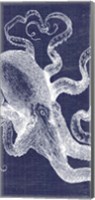Denim Washed Octopus Fine Art Print