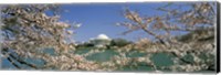 Cherry blossom with memorial in the background, Jefferson Memorial, Tidal Basin, Washington DC, USA Fine Art Print