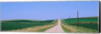 Road along fields, Minnesota, USA Fine Art Print