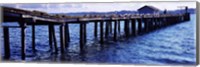 Seagulls on a pier, Whidbey Island, Island County, Washington State, USA Fine Art Print