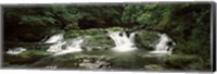 Dingmans Creek flowing through a forest, Dingmans Falls Area, Delaware Water Gap National Recreation Area, Pennsylvania, USA Fine Art Print