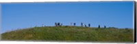 People on a hill, Baldwin Hills Scenic Overlook, Los Angeles County, California, USA Fine Art Print