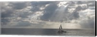 Sailboat in the sea, Negril, Jamaica Fine Art Print