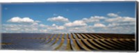 Solar panels in a field, Provence-Alpes-Cote d'Azur, France Fine Art Print