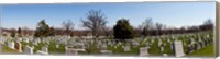 Tombstones in a cemetery, Arlington National Cemetery, Arlington, Virginia, USA Fine Art Print