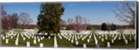 Headstones in a cemetery, Arlington National Cemetery, Arlington, Virginia, USA Fine Art Print
