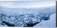 Ice floating in fjord, Tiniteqilaaq, Greenland Fine Art Print