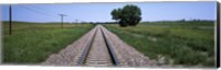 Telephone poles along a railroad track, Custer County, Nebraska Fine Art Print
