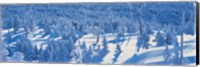 Snow Covered Trees, Chino Nagano Japan Fine Art Print
