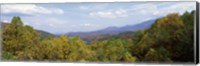 View from River Road, Great Smoky Mountains National Park, North Carolina, Tennessee, USA Fine Art Print