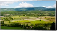 High angle view of a field, Sault, Vaucluse, Provence-Alpes-Cote d'Azur, France Fine Art Print