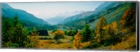 Estenc Valley in autumn, French Riviera, Provence-Alpes-Cote d'Azur, France Fine Art Print