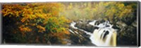 Waterfall in autumn, Rogie Falls, Black Water, Garve, Ross-Shire, Scotland Fine Art Print