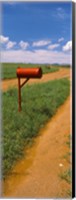 Red mailbox at the roadside, San Rafael Valley, Arizona, USA Fine Art Print