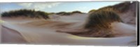 Sculpted dunes at the Sands of Forvie, Newburgh, Aberdeenshire, Scotland Fine Art Print