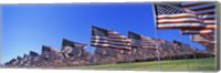 American flags, Pepperdine University, Malibu, California Fine Art Print